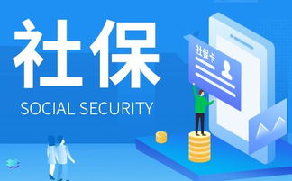 我市全面推進電子社?？ㄈ采w，融合金融信息咨詢服務賦能智慧民生